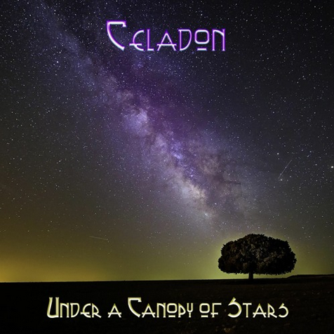 Under A Canopy of Stars